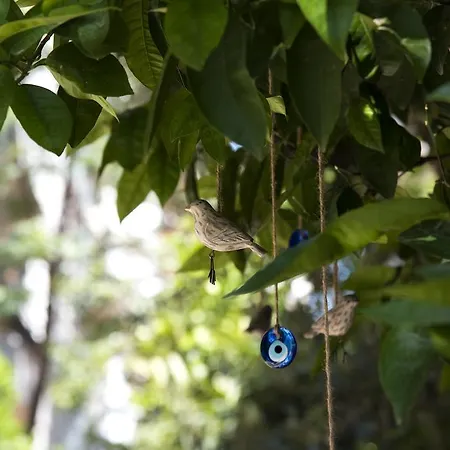 Апарт-отель Trend 4*